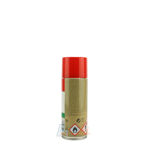 Castrol Silicon Spray - 2